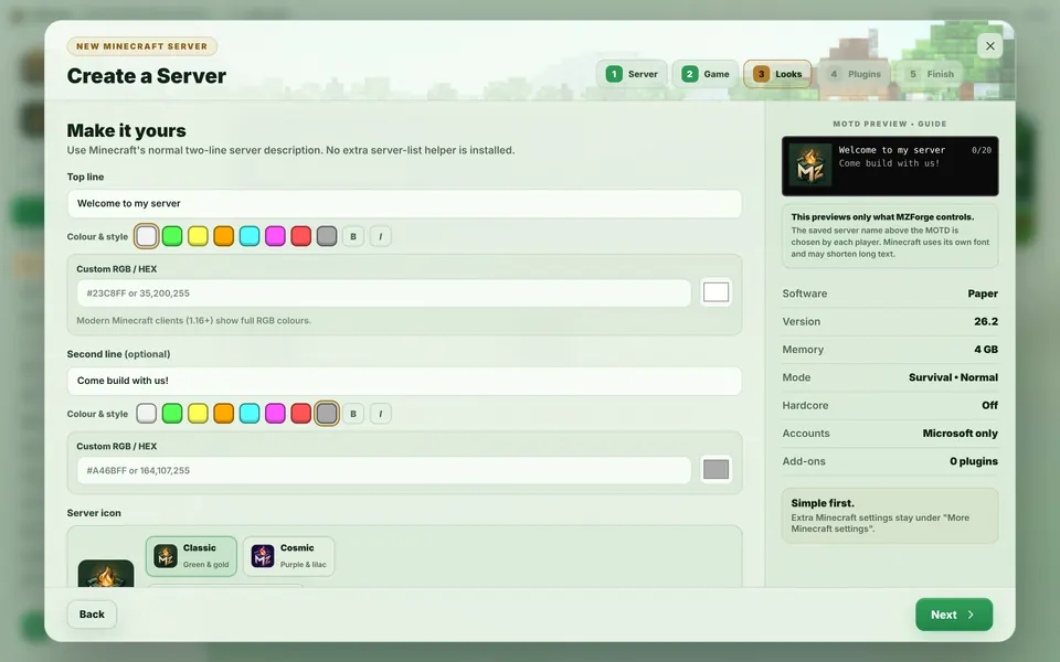 The Looks step with the two-line server message and icon choices.