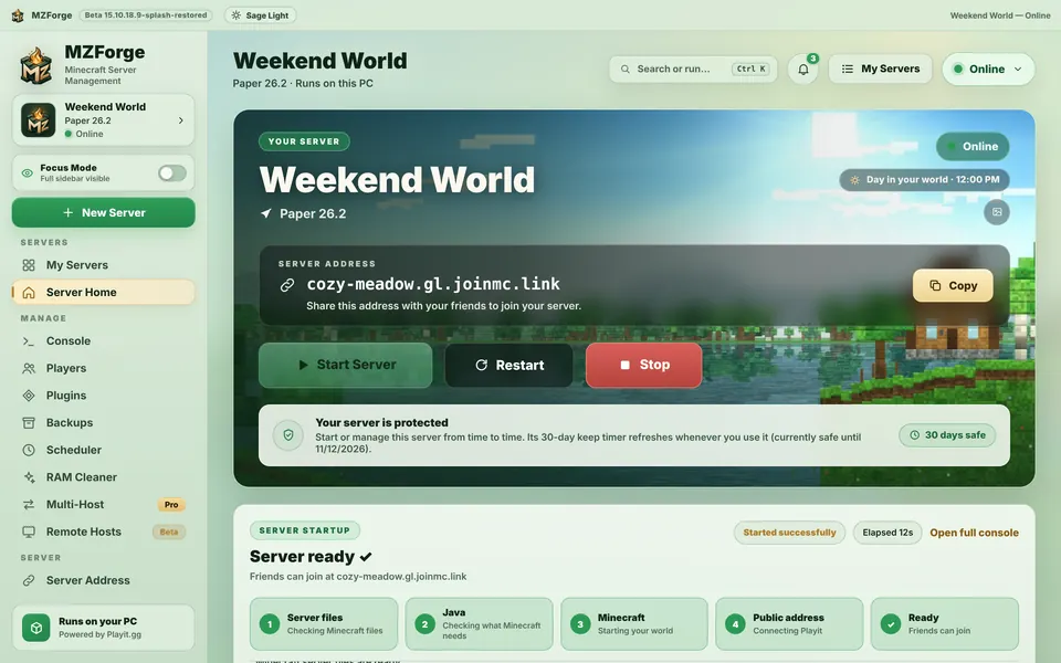 Server Home showing Online with the public address and a Copy button.