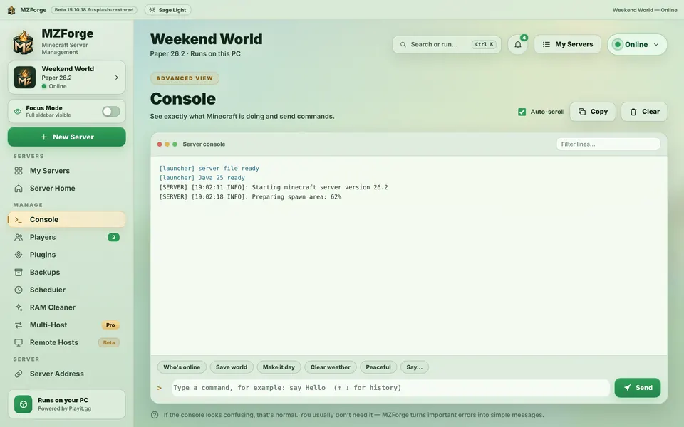 The Console with server output and quick command buttons.